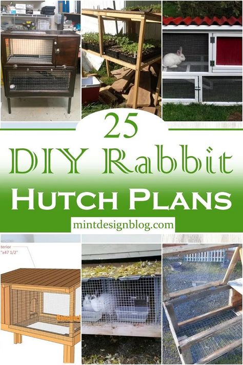 DIY Rabbit Hutch Plans Diy Bunny Hutch, Rabbit Hutch Plans, Diy Cat Shelves, Rabbit Information, Raising Rabbits For Meat, Diy Rabbit Hutch, Outdoor Rabbit Hutch, Happy Ideas, Bunny Hutch