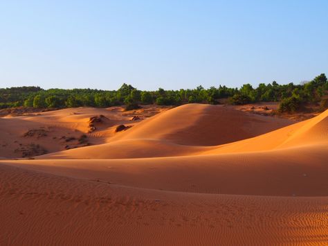 Quad biking around the white sand dunes in Mui Ne, Vietnam. White Sand Dunes, Quad Biking, Vietnam Backpacking, Balcony View, Red Sand, Visit Vietnam, Quad Bike, Time Flies, Vietnam Travel