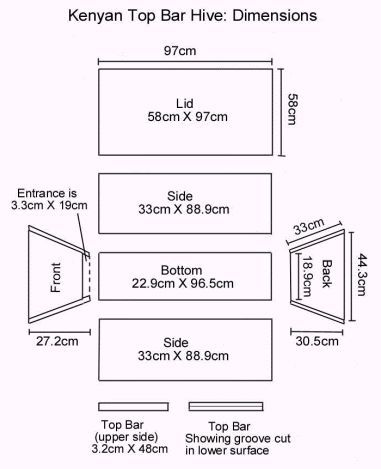 Top Bar Bee Hive Plans | top bar beehive plans image search results Beehive Plans, Top Bar Bee Hive, Top Bar Hive, Bee Hive Plans, Backyard Bee, Raising Bees, Bee Coloring Pages, Bar Plans, Backyard Beekeeping