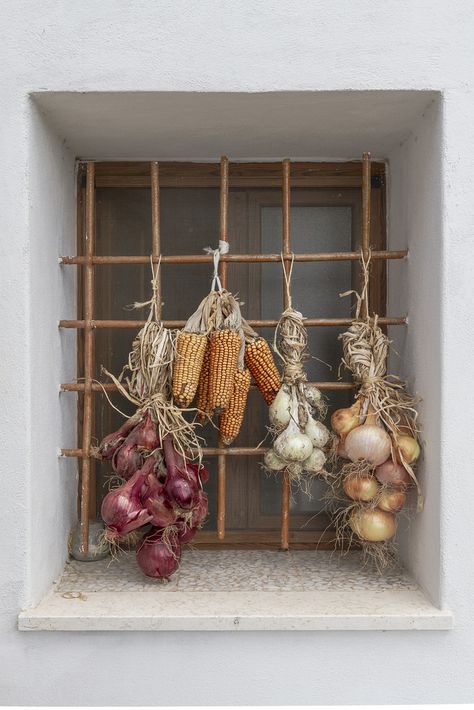 Weird Furniture, Food Tool, Fruit Decor, Garden Calendar, French Country Living Room, Dried Vegetables, Survival Life Hacks, Asian Inspiration, Boutique Decor