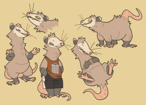 Opossum Character, Opossum Fursona, Anthro Characters, Style Character Design, Fursona Ideas, Style Character, Anthro Art, Animal Drawing, Big Art