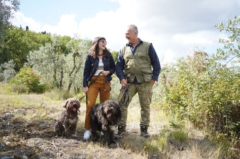 What it's like to go truffle hunting in Tuscany, and how to do it yourself Truffle Hunting Outfit, Truffle Hunting In Italy, Truffle Hunting, Summer Truffle, Lagotto Romagnolo, Black Truffle, Hunting Clothes, Tuscany Italy, Florence Italy