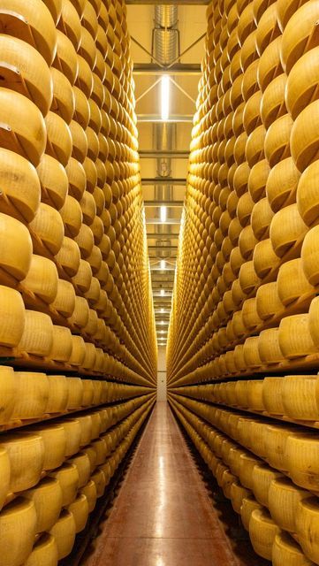 Giadzy on Instagram: "Italy is home to hundreds of incredible cheeses, but there’s one that certainly comes to mind first: parmigiano reggiano! Despite its popularity, we still get a lot of questions about Italy’s most famous formaggio. Not to fear - we have the answer to all your parmigiano reggiano questions! Tap the link in bio to read our guide. https://ow.ly/7aXU50QkPTY #giadadealurentiis #giadzy #italy #italianfood #italytravel #parmigianoreggiano" Quattro Formaggi Pasta, Permito Cheese, Pasta Quatro Formaggi, Italy Agriculture, Instagram Italy, Artisan Cheese, Parmigiano Reggiano, Italian Recipes, To Read