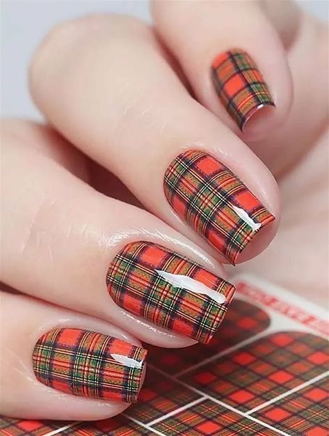 Nails Tips Design, Nail Tip Designs, Plaid Nails, Nails Art Ideas, Christmas Nails Easy, Nails Tips, Xmas Nails, Christmas Nail Designs, Nail Art Ideas