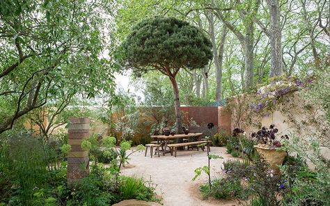 Sarah Price Garden Chelsea 2023, Sarah Price Chelsea 2023, Sarah Price Gardens, Wabi Sabi Garden, Cedric Morris, Chelsea 2023, Terracotta Walls, Sarah Price, Geranium Sanguineum