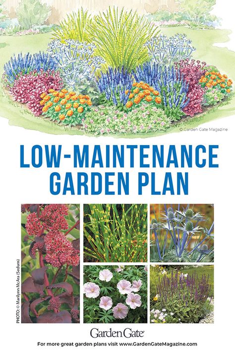 Looking for a landscape design that is easy to care for? This low-maintenance garden bed plan is perfect for a sunny spot in your yard. Check out our website for flower and plant information. Perennial Garden Plans, Flower Garden Plans, Flower Bed Designs, Garden Plan, Garden Design Layout, Meteor Garden 2018, Flower Garden Design, Front Landscaping, Low Maintenance Landscaping