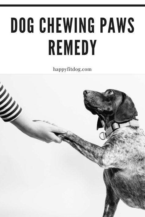 Why dogs chew paws and home remedy for this problem. #dogs #paws #healthydog #happydog Dog Chewing Paws, Dogs Paws, Dog Behavior Problems, What To Use, Dog Hacks, Behavior Problems, Healthy Dogs, Red Flag, Dog Chews