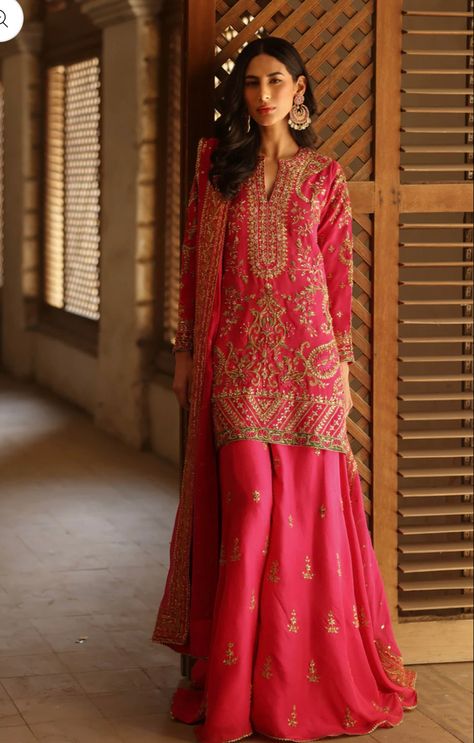 Dhol Night Outfit, Pink Semi-stitched Dabka Work Dress, Desi Pink Outfit, Dark Pink Pakistani Suit, Hot Pink Pakistani Outfit, Hot Pink Pakistani Suits, Rani Pink Pakistani Dress, Floral Dresses With Sleeves, Pakistani Formal Dresses