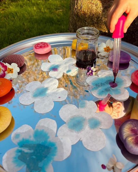 It’s #cosytuffspot Tuesday 🎉 What’s on your tray today? Repost from @the_play_adventures_ • 🌺 coffee filter flowers 🌺 We’ve been experimenting with different kinds of process art, using the pipettes to this added an extra fine motor challenge too! I mixed food colouring with water for Effy to drop onto the coffee filters! A super simple and surprisingly well enjoyed activity! I didn’t think this would hold her attention for as long as it did, and that’s a win right?? Once they were dry... Process Art Preschool, Educational Leader, Hearts Paper Crafts, Nursery Crafts, Coffee Filter Flowers, Baby Learning Activities, Pipettes, Food Colouring, Coffee Filters