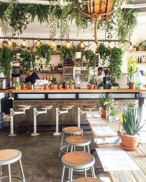 "When you walk into this plant-based eatery and juice bar, you'll first notice the greenery filled corners and raw wood shelves filled with dripping ferns, ivy, and philodendron."  Thanks to @DominoMag and @dicksontwong for the feature ! (📷: @aliceeyuu ) Retro Grocery Store Design, Photos For Vision Board, Juice Bar Interior, Cafe Plants, Juice Bar Design, Coffee Shop Interior Design, Smoothie Bar, Coffee Shops Interior, Garden Cafe