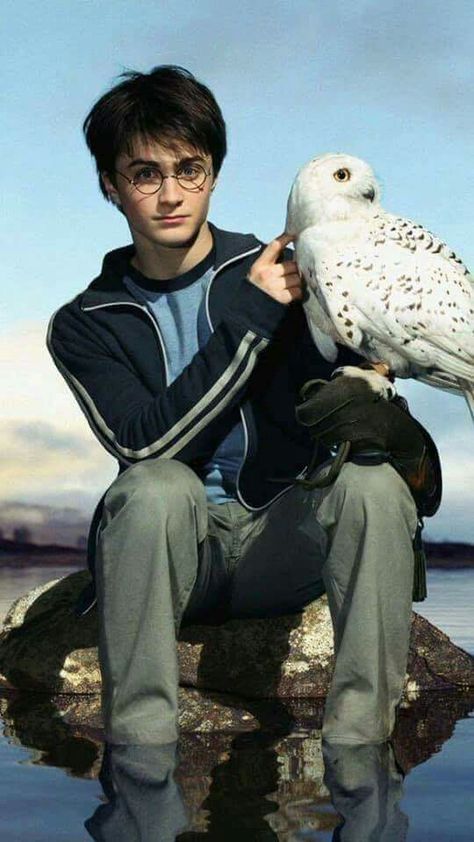 daniel radcliffe Meme Harry Potter, Film Harry Potter, Citate Harry Potter, Glume Harry Potter, Daniel Radcliffe Harry Potter, Harry Potter Quiz, Harry Potter Background, Harry Potter Memes Hilarious, Buku Harry Potter