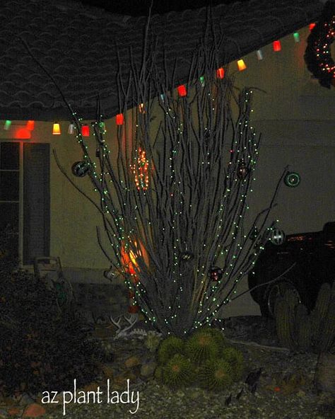 Desert Christmas Decor, Christmas In The Desert, Desert Christmas, Christmas Desert, Southwest Home Decor, Desert Climate, Desert Decor, Desert Garden, In The Desert