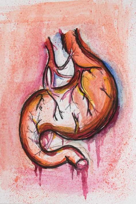 Stomach Drawing Sketch, Stomach Sketch, Drawing Stomach, Stomach Anatomy Drawing, Organ Drawings Art, Human Organs Art Aesthetic, Intestines Art, Intestines Painting, Gore Intestines Drawing