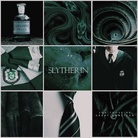 Aesthetic Mood Board// Slytherin #slytherin #aesthetic #moodboard #harrypotter James Sirius Potter, Gryffindor Aesthetic, Draco Malfoy Aesthetic, Types Of Boyfriends, Slytherin Pride, Slytherin Harry Potter, Harry Potter Gif, Harry Potter Houses, Hogwarts Aesthetic