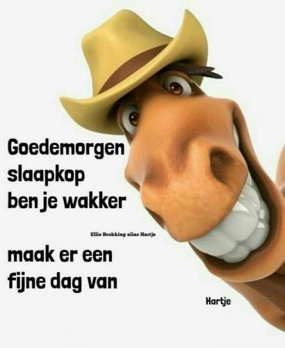 Goedemorgen...al wakker Thursday Humor, Good Morning Thursday, Good Morning Everyone, Morning Wish, Coffee Humor, Good Morning Quotes, Good Morning, Humor, Van