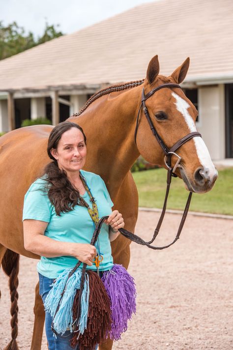 Western Braids For Horses, Hunter Braids Horse, Hunter Braids, Horse With Braids, Ways To Braid Horses Manes, Horse Show Braids Hunter Jumper, Create Picture, Beautiful Braids, Picture Perfect