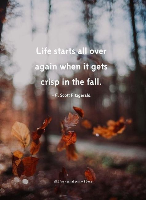 Hello September Quotes, Fall Season Quotes, Hello Fall Quotes, Hello October Images, Quotes For Children, Funny Fall Quotes, Halloween Captions, October Quotes, Victoria Erickson