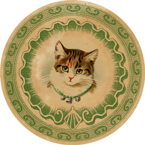 Vintage Kitten, Kitten Stickers, The Graphics Fairy, Graphics Fairy, For Stickers, Little Kittens, Kittens, Green