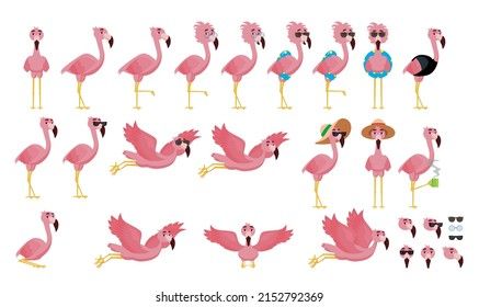 Cartoon flamingo set. Collection of cartoon flamingos in different poses Flamingo Meaning, Flamingo Character, Flamingo Pose, Flamingo Cartoon, Cartoon Flamingo, Flamingo Drink, Flamingo Vector, Fauna Illustration, Pink Flamingos Birds