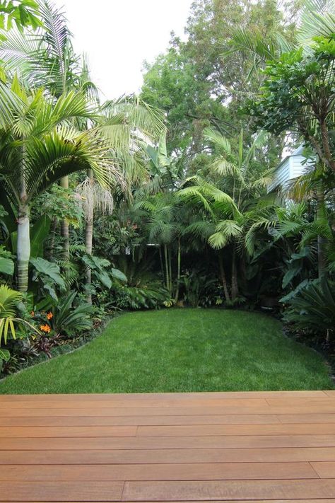 Diy Tropical Backyard, Tropical Side Garden, Tropical Garden Plants, Tropical Backyard Landscaping, Small Tropical Gardens, Tropical Landscape Design, Large Backyard Landscaping, Build Design, Tropical Garden Design