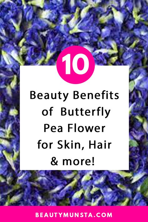 There are so many beauty benefits of butterfly pea flower tea for skin, hair and more! Learn how to prepare butterfly pea flower for your beauty recipes such as face masks, hair rinses, sugar scrubs and more! Butterfly pea flower tea, scientifically known as Clitoria ternatea, recently took the internet by a storm because of … Tea For Skin, Benefits Of Peas, Natural Beauty Hacks, Pea Flower Tea, Flower Skin, Butterfly Pea Tea, Butterfly Pea Flower Tea, Homemade Wrinkle Cream, Butterfly Tea