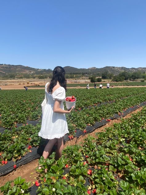 Strawberry Farm Aesthetic, Strawberry Picking Pictures, Strawberry Picking Outfit, Whisper Background, Work Song, Strawberry Outfit, Food Vibes, Strawberry Aesthetic, Strawberry Field