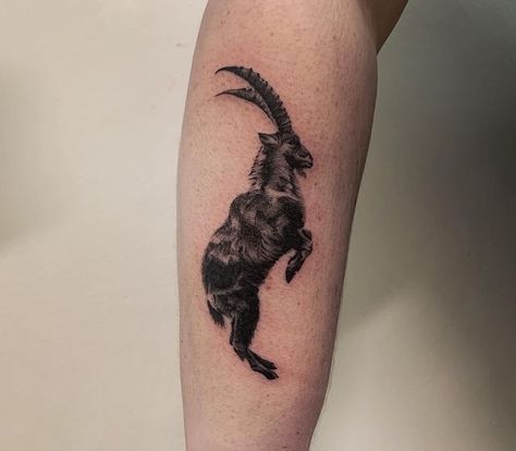 Feminine Goat Tattoo, Horned Goat Tattoo, Goat Back Tattoo, Mountain Goat Tattoo Design, Mountain Goat Tattoo, Tattoo Dot Work, Mountain Goat Skull Tattoo, Lucy Tattoo, Goat Tattoos