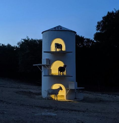 Goat Tower, Feral Cat House, Egyptian Pyramids, Cat Enclosure, Dripping Springs, Dome House, Creature Comforts, Animal House, Animals Of The World