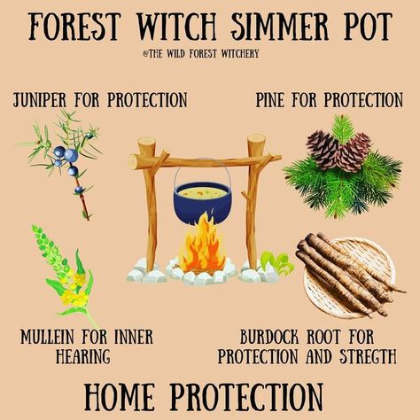 Witchcraft Simmer Pot, Full Moon Simmer Pots Witchcraft, Mini Simmer Pots Witchcraft, Kitchen Witch Simmer Pot, Protection Simmer Pots Witchcraft, Simmer Pot Recipes Witchcraft, Witchy Kitchen, Simmer Pot Recipes, Kitchen Witch Recipes