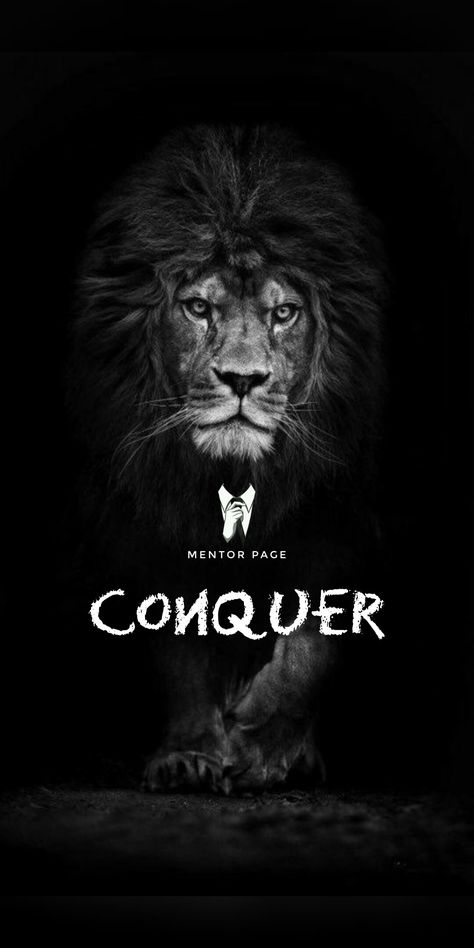 #Wallpapers #Lion #Conquer #PhoneCase Wounded Lion Wallpaper, Conquer Wallpaper, Wallpapers Lion, Lion Wallpapers, Lion Quotes, Lion Wallpaper, Male Lion, Branding Inspo, Lion Canvas