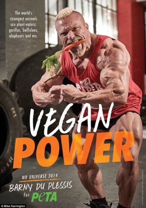 Find out why these vegan bodybuilders from the UK have hearts of gold Vegan Energy Bars, Mr Universe, Famous Vegans, Plant Eater, Vegan Facts, Strongest Animal, Du Plessis, Getting More Energy, Vegan Bodybuilding