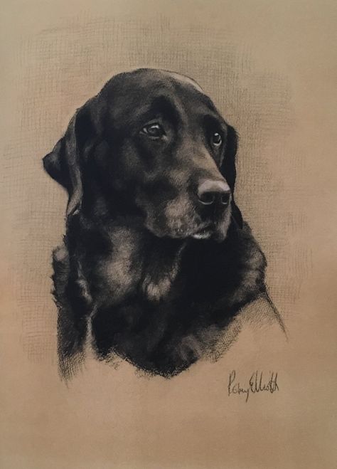 Charcoal — Romy Elliott Drawings Of Dogs, Dog Portraits Painting, Charcoal Drawings, Faith In Humanity Restored, Charcoal Drawing, Dog Drawing, Faith In Humanity, Artist Painting, Dog Portraits