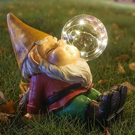 Funny Statues, Funny Garden Gnomes, Gnomes Garden, Solar Yard Lights, Garden Gnomes Statue, Led Decoration, Led Garden Lights, Gnome Statues, Chicken Decor