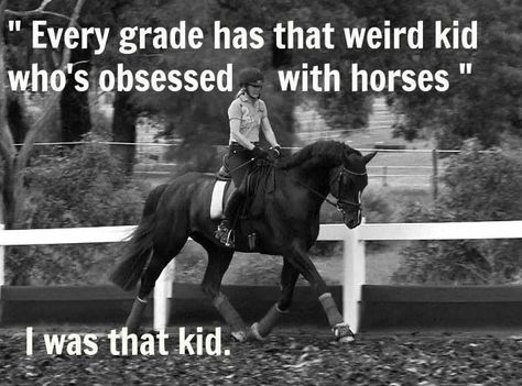 Horse Boyfriend Quotes by @quotesgram Equestrian Memes, Horse Riding School, Funny Horse Memes, Horse Quotes Funny, Horse Jokes, Inspirational Horse Quotes, Horse Riding Quotes, Equestrian Quotes, Riding Quotes