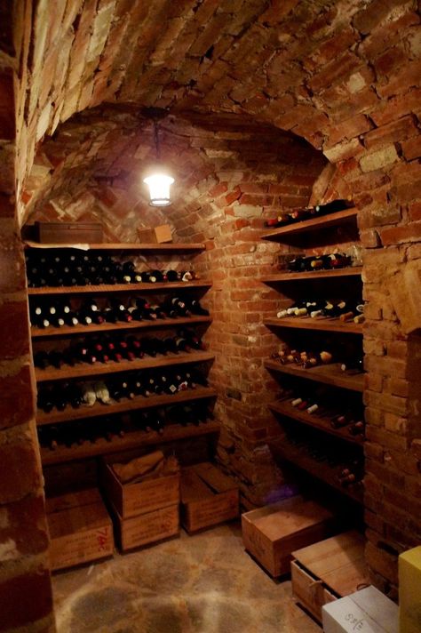 Basement Room Ideas, Storage Basement, Wine Cellar Basement, Basement Room, Wine Cave, Home Wine Cellars, Basement Laundry Room, Root Cellar, Gym Room At Home