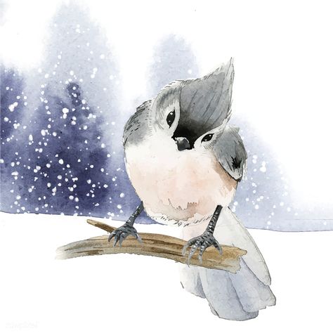 Tufted titmouse bird in wintertime watercolor vector | free image by rawpixel.com / Niwat Tufted Titmouse Bird, Penguin Watercolor, Titmouse Bird, Tufted Titmouse, Watercolor Typography, Watercolor Vector, Free Illustration Images, Winter Watercolor, Winter Illustration