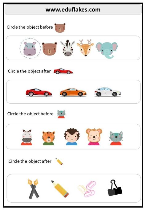 Kindergarten worksheet - Before,After and between Kindergarten Syllabus, Picture Story For Kids, Number Worksheets Kindergarten, Preschool Fine Motor Skills, Free Preschool Worksheets, Preschool Math Worksheets, Kindergarden Activities, Numbers Kindergarten, Preschool Fine Motor