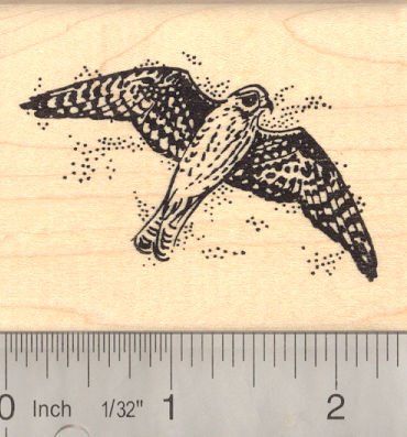 Falcon in Flight Rubber Stamp * Read more at the image link.-It is an affiliate link to Amazon. #printingstamping Woodcut Bird Tattoo, Vintage Eagle Tattoo Flash, Linocut Crow, Vintage Hawk Illustration, Blackbird Linocut, Hawk Tattoo, Woodcut Illustration, Bird Rubber Stamps, Bird Stamp