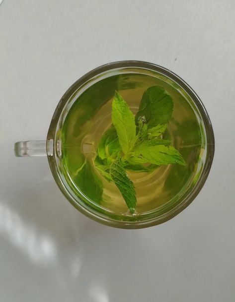 Lovely mint leaves Mint Leaf Aesthetic, Mint Leaves Aesthetic, Spearmint Aesthetic, Mint Tea Aesthetic, Tea Flowers, Healthy Drink, Mint Tea, Flower Tea, Dream Lifestyle