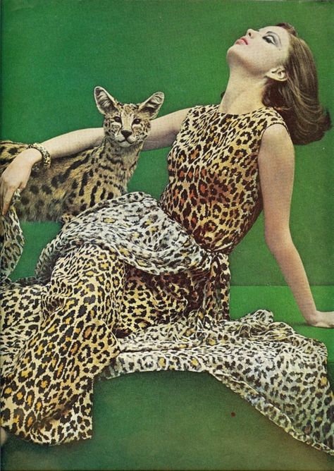 60s leopard Animal Instinct, Ellen Von Unwerth, Exotic Cats, Leopard Fashion, Animal Print Fashion, 1960s Fashion, Moda Vintage, 60s Fashion, Glamour Fashion