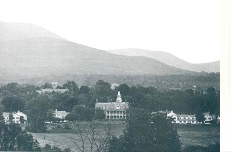 Bennington College, Donna Tartt, All The Young Dudes, Living Forever, The Secret History, History Books, The Secret, Favorite Books, Literature