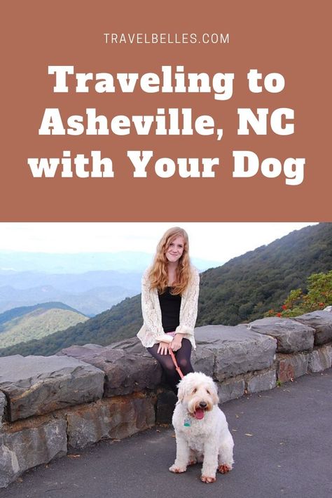 Dog Bucket List, Ashville North Carolina, Bryson City North Carolina, Carolina Dog, North Carolina Vacations, Dog Friendly Hotels, North Carolina Travel, Dog Swimming, Nc Mountains