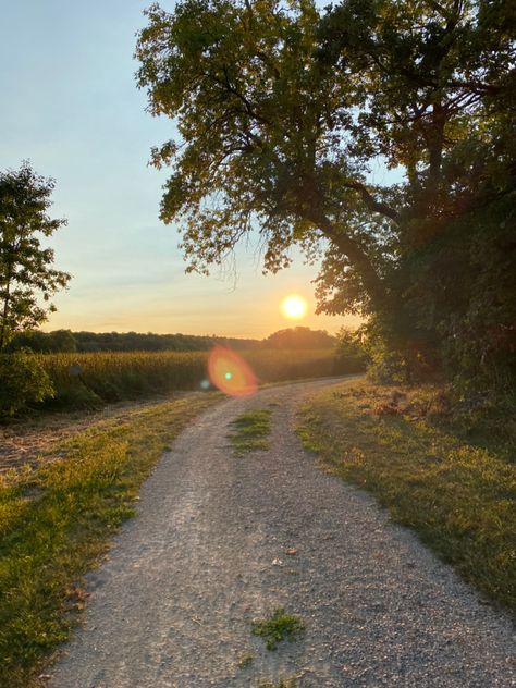 Sunset over fields, trees, summer, warm sun Sunsets In Fields, Sunset Feild Pic, Open Field Aesthetic, House In Field, Sunset In A Field, House In A Field, Field With Trees, Sunrise Drawing, Sunny Field