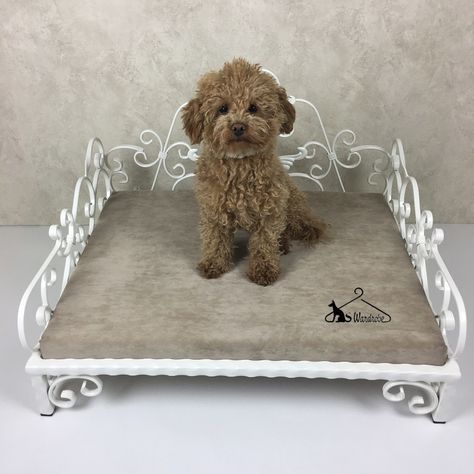 Handmade wrought-iron bed. Our design. Metal Dog Bed, Iron Dog Bed, Wrought Iron Beds, Wrought Iron Bed, Bed Metal, Wool Bed, Bed Price, Luxurious Bed, Bedroom Studio