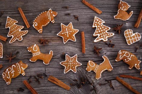 Can Dogs Eat Gingerbread? | Cuteness Gingerbread Dog, Toxic To Dogs, Decorative Plants, Winter Treats, Dog Cookies, Christmas Cookies Decorated, Festive Treats, Iced Cookies, Can Dogs Eat