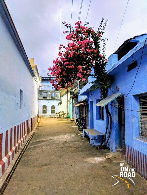 Freshly painted streets of Kallidaikurichi in preparation for Pongal Tamilnadu Village Photography, Plan Villa, Design Villa, Rural India, Village Photography, Learn Watercolor, Villa Plan, My Roots, Bad Boy Aesthetic