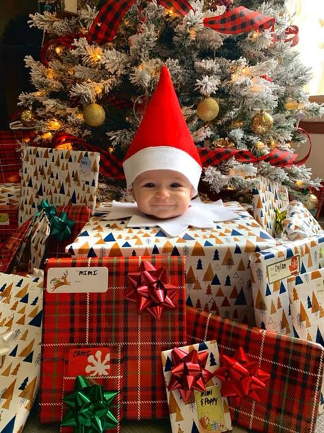 Baby Elf On The Shelf, Elf 2024, Baby Christmas Photography, Christmas Picture Books, Christmas Baby Pictures, Baby Elf, Elf Toy, Chocolate Advent Calendar, Baby Milestones Pictures