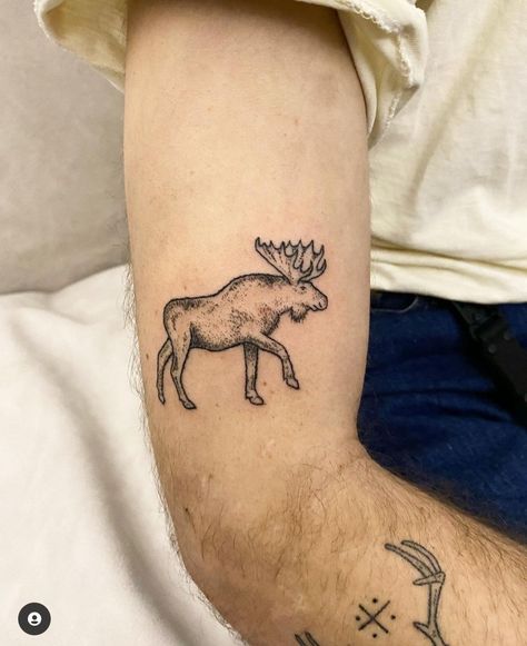 This but female and slightly different style Marmot Tattoo, Moose Tattoo For Women, Moose Tattoos, Calgary Tattoo, Botanical Sleeve, Maine Tattoo, Elk Tattoo, Tattoo Dream, Moose Tattoo