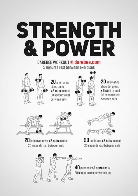 Strength & Power Workout Workout Dumbell, Rugby Workout, Boxer Workout, Muscle Workouts, Shred Workout, Chest Workout For Men, Workout Labs, Power Workout, Workout Program Gym