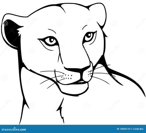 Lioness Pictures, Lioness Images, Lion And Lioness Tattoo, Cheetah Drawing, Sketch Head, Soldier Silhouette, Lioness Tattoo, Female Lion, Lion Family